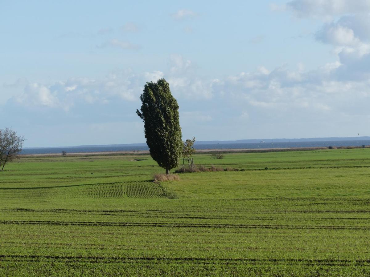 Am Haff * Stolpe auf Usedom